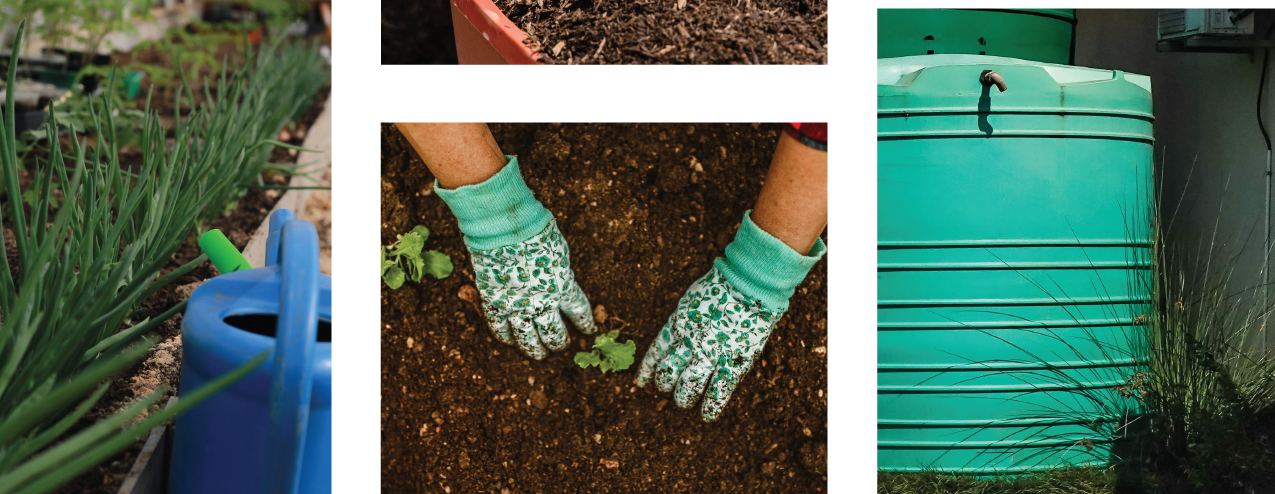 Water and Climate Change: Alameda Backyard Growers Workshop